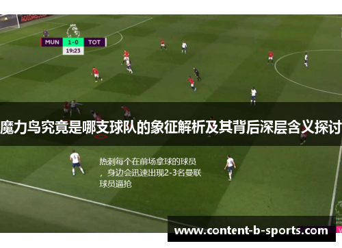 魔力鸟究竟是哪支球队的象征解析及其背后深层含义探讨