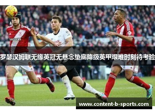 罗瑟汉姆联无缘英冠无悬念垫底降级英甲艰难时刻待考验 罗瑟汉姆联无缘英冠无悬念垫底降级英甲艰难时刻待考验